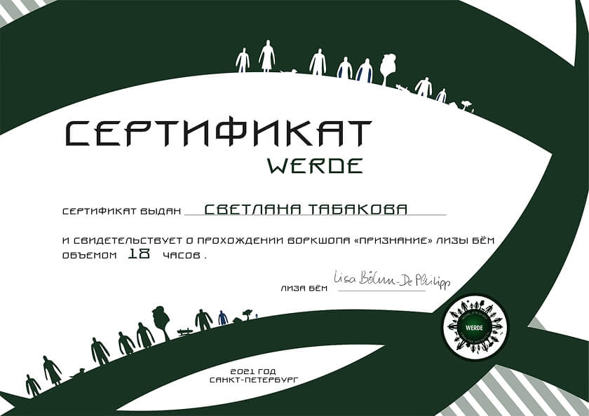 Сертификат 13